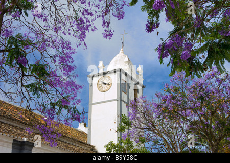 Portugal the Algarve, Moncarapacho church clock tower, jacaranda tree in flower Stock Photo