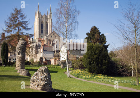 A view of 'St Edmunds' Cathedral' from the Abbey Gardens in 'Bury St Edmunds', Suffolk, England, UK. Stock Photo