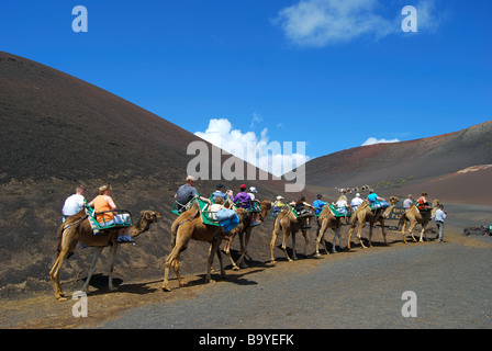 Camel rides, Timanfaya National Park, Lanzarote, Canary Islands, Spain Stock Photo