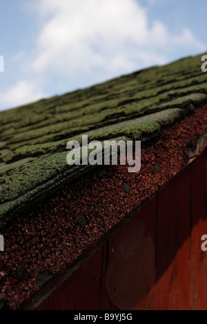 Moss green on roof house close-up nobodynone hi-res Stock Photo