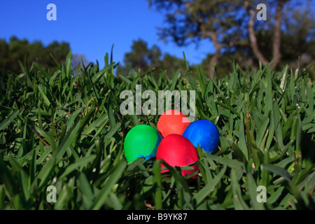 Easter eggs in the grass. Stock Photo