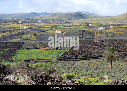 Hilly landscape, Northern Lanzarote, Canary Islands, Spain Stock Photo