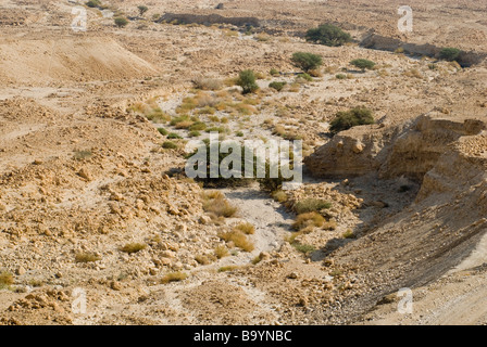 The Judaean or Judean desert near the Dead Sea shore Israel Stock Photo