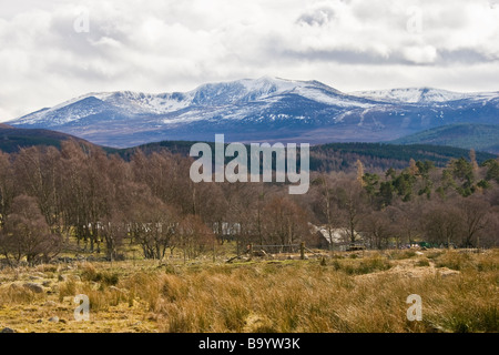 Spring view of famous Scottish mountain Lochnagar from B976 above Crathie and Balmoral. Stock Photo