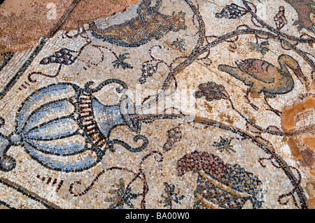 Figurative ancient floor mosaic in Caesarea national park Israel Stock Photo