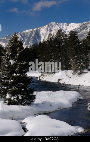 Men Wading in ice cold Madison River in winter fly fishing with snowy Rocky mountain Madison Range Montana USA Stock Photo