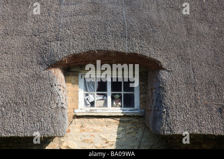 A model of Yoda looks out from a traditional sash window under a thatched roof Minster Lovell Stock Photo