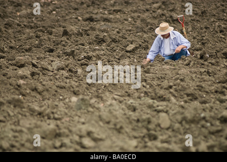 Crater of Diamonds State Park near Murfreesboro, Arkansas Stock Photo