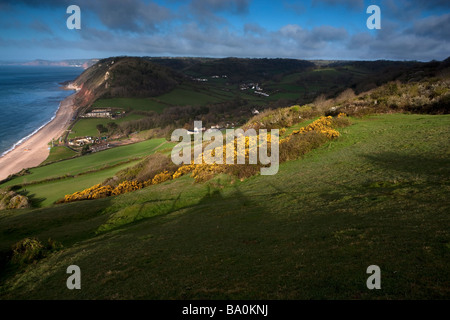 Branscombe view from path to Beer. Devon. UK. Europe Stock Photo