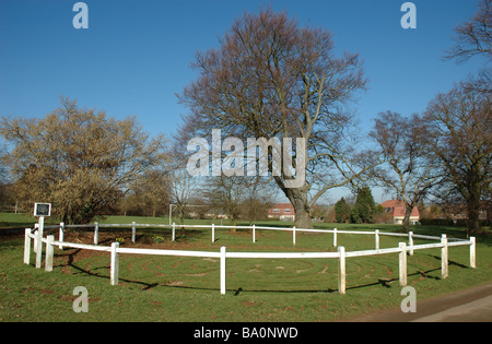 turf maze, Wing, Rutland, England, UK Stock Photo