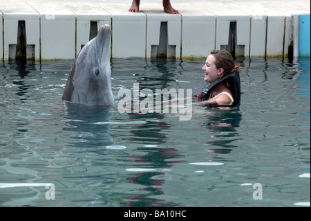 A young woman enjoying an encounter with a captive dolphin Stock Photo