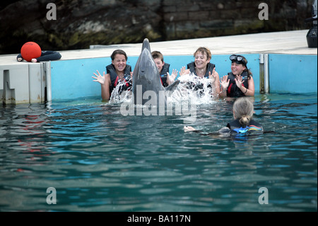 A family enjoying an encounter with a captive dolphin at Dolphin Quest, Bermuda Maritime Museum. Stock Photo