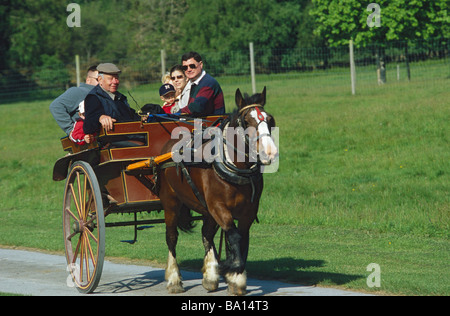 Horse carriage in Muckross House Stock Photo