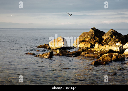 Shoreline of Geneva lake Stock Photo