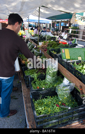 A man is chossing a salad in the Palo Alto farmers' market, University Avenue, Palo Alto, California, USA Stock Photo