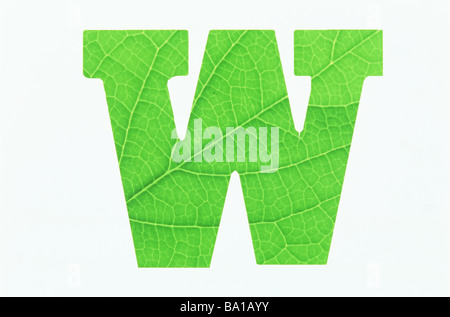 Green Alphabet W White Background Stock Photo