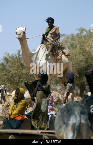 Bedouin children gather at a well in the Sudanese desert as generations have done before them Stock Photo