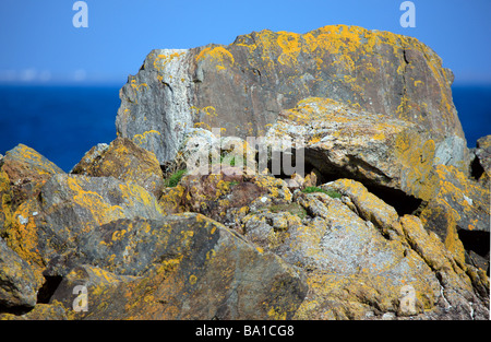 Large rock boulder on a beach on Tiree Stock Photo