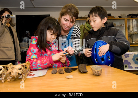 The museum at Oxford has a science day for kids where you get the chance to check out dinosaur fossils Stock Photo