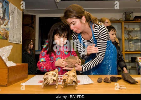 The museum at Oxford has a science day for kids where you get the chance to check out dinosaur egg Stock Photo