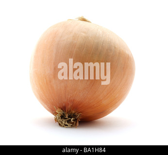 Large Spanish onion Stock Photo