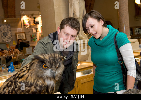 The museum at Oxford has a science day for kids but older people could still touch the taxidermy and feel an owl Stock Photo