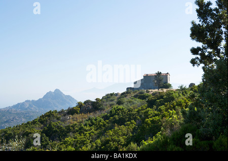 Lone house in the early morning, Desert des Agriates between L'Ile Rousse and St Florent, The Nebbio, North Corsica, France Stock Photo