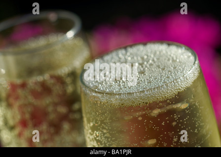 Champagne sparkling wine close up bubbles freshly poured glasses alfresco outdoors on sunny floral garden terrace Stock Photo