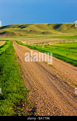 Frenchman River Valley Ecotour Route through the Frenchman River Valley in the West Block Grasslands National Park Saskatchewan Stock Photo