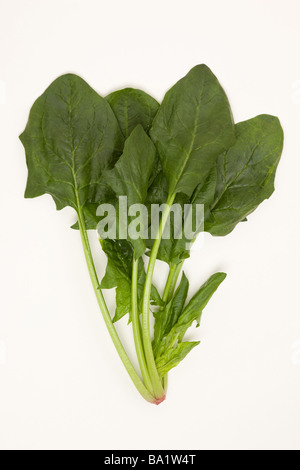 Raw Spinach Stock Photo