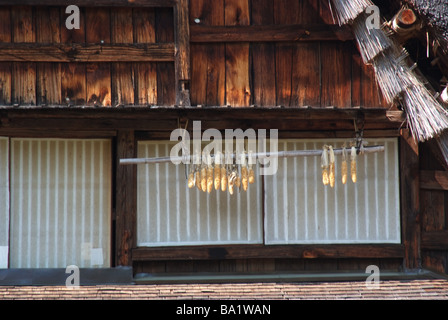 Hanging Corn Cobs and Japanese House in Background Stock Photo