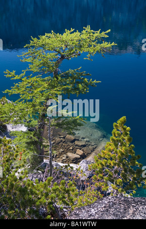 Crystal clear water of icy cold Viviane Lake 2,068m (6,785ft) reflects the blue sky of summer, Alpine Lakes Wilderness, Washington State Stock Photo