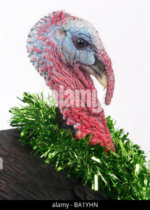 A turkey with tinsel around its neck Stock Photo