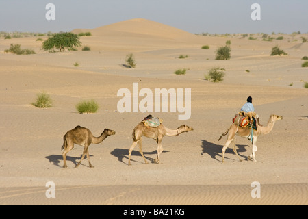 Touareg Camel Caravan in the Desert just outside Timbuktu Mali Stock Photo