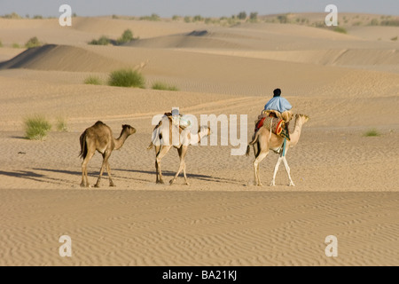 Touareg Camel Caravan in the Desert just outside Timbuktu Mali Stock Photo