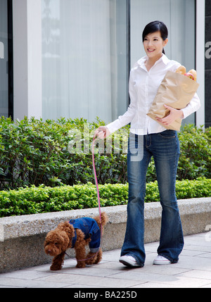Young woman walking a Toy Poodle on sideway holding bag of groceries Stock Photo
