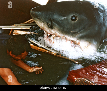 JAWS  1975 Universal film Stock Photo