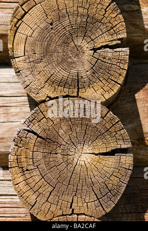 Wood house logs cut pattern. Stock Photo