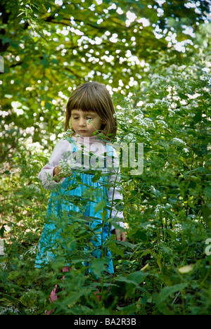 Beautiful little girl standing among wildflowers in a park Stock Photo