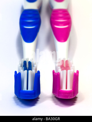 Two Toothbrushes Stock Photo