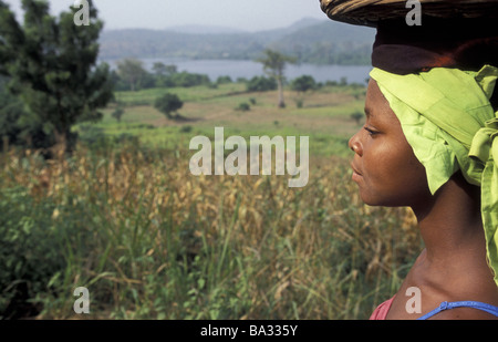 Landscape of Africa (Ghana), by the Volta river just ...