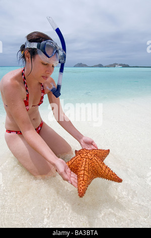 Woman snorkeler with Starfish Madrizqui Los Roques National park Venezuela South America Stock Photo