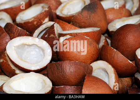 Dry coconut, Khopara for sale in market, Pune. Stock Photo