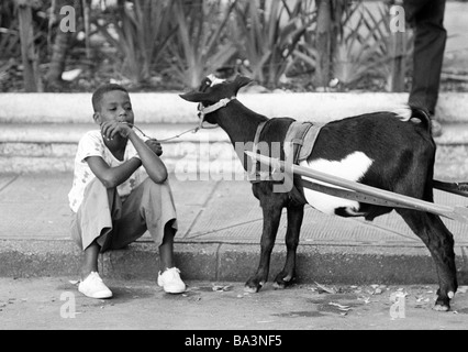 Seventies, black and white photo, human and animal, boy sits on a kerbstone and walks a goat on a lead, aged 10 to 13 years, Capra, Brazil, Minas Gerais, Belo Horizonte Stock Photo