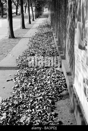 Seventies, black and white photo, autumn, autumn leaves on a pavement, avenue, brick wall, Ruhr area, North Rhine-Westphalia Stock Photo