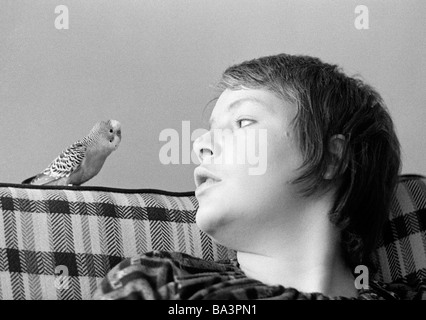 Seventies, black and white photo, human and animal, young woman, aged 20 to 25 years, Monika, budgerigar, Melopsittacus undulatus, Kuki Stock Photo