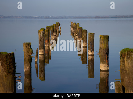 old ruined abandoned jetty stantions leading off into lough neagh county armagh northern ireland Stock Photo