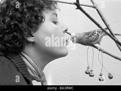 Seventies, black and white photo, human and animal, young woman, aged 20 to 25 years, Monika, budgerigar, Melopsittacus undulatus, Kuki Stock Photo