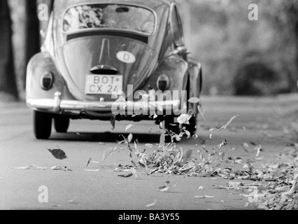 Seventies, black and white photo, autumn, autumn leaves on the street swirled up by a passing motorcar, VW-Beetle, D-Bottrop, D-Bottrop-Kirchhellen, Grafenwald, Ruhr area, North Rhine-Westphalia Stock Photo