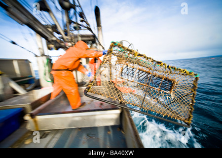 Deckhands lower a baited pot over the deck of the F/V Centurion while cod fishing in Kachemak Bay, Alaska Stock Photo